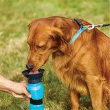 Outdoor Pet Water Bottle