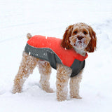 Waterproof Winter Dog Coat-Jacket